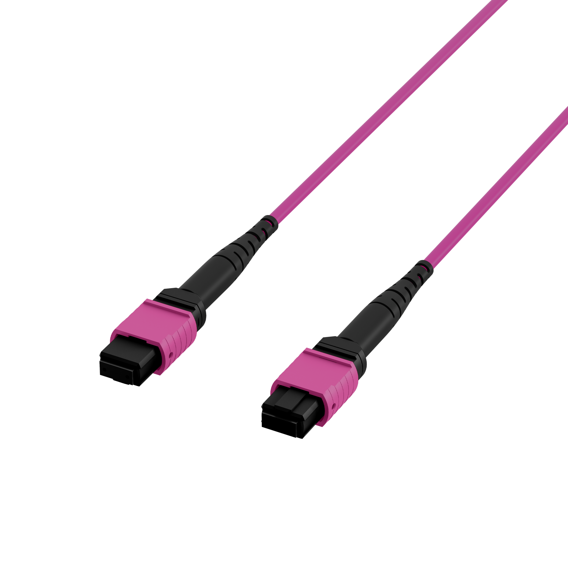 MTP®(F)-MTP®(F) Patchkabel OM4 12 Fasern,Typ B LSZH erika-violett 25m 