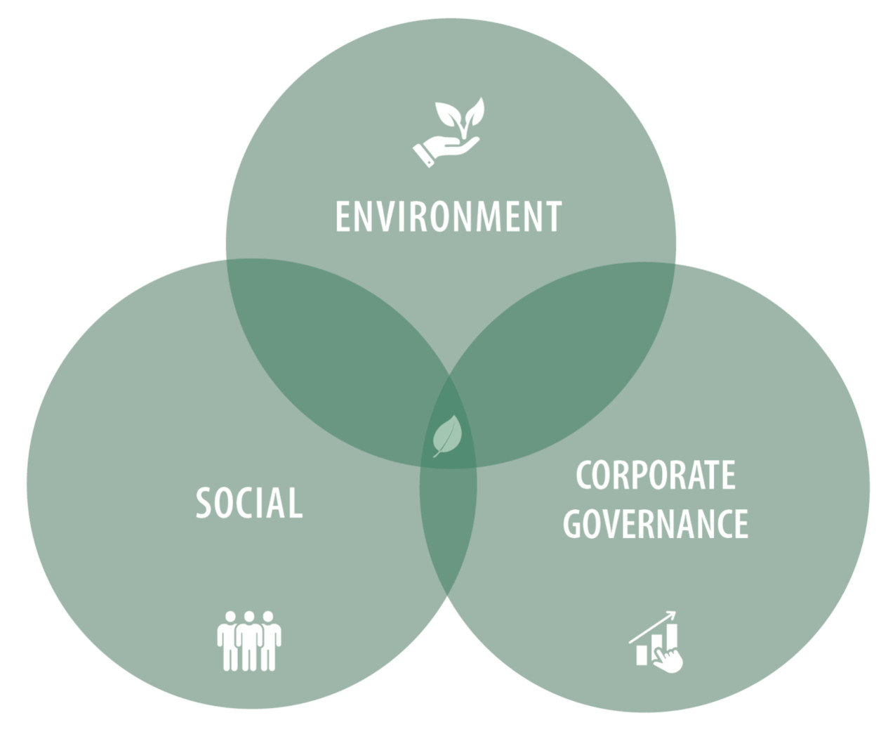 Venn diagram for the areas of environment, social affairs and corporate governance