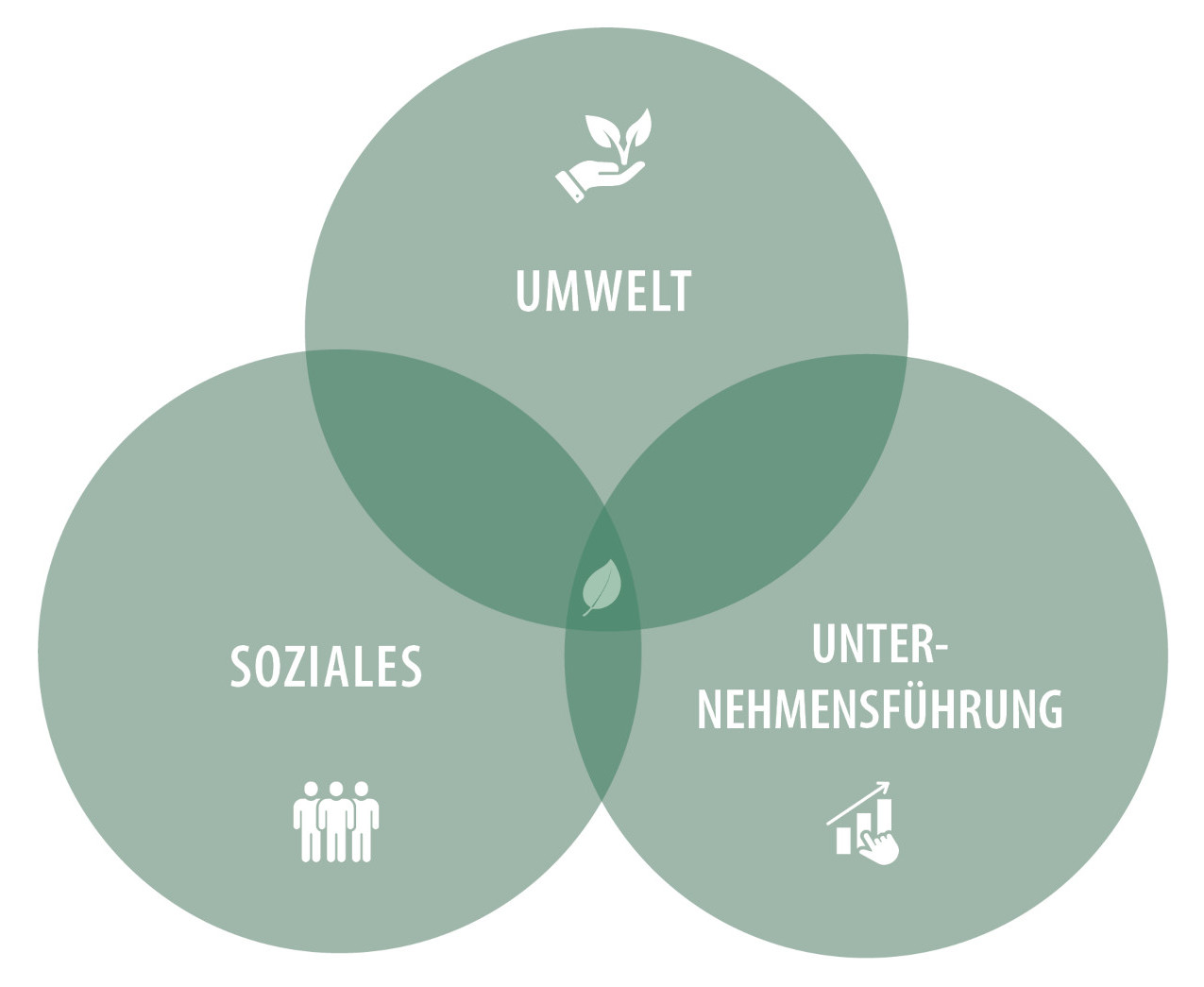 Venn-Diagramm zu den Bereichen Umwelt, Soziales und Unternehmensführung