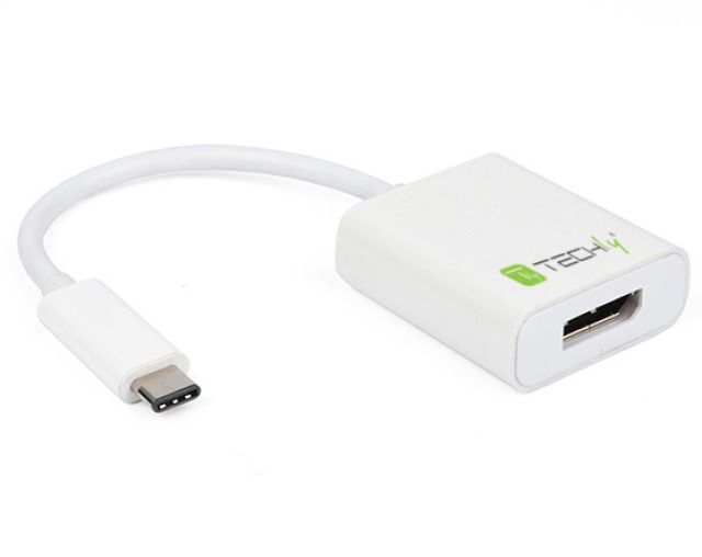 Converter Cable Adapter USB 3.1 Type C M to Displayport F