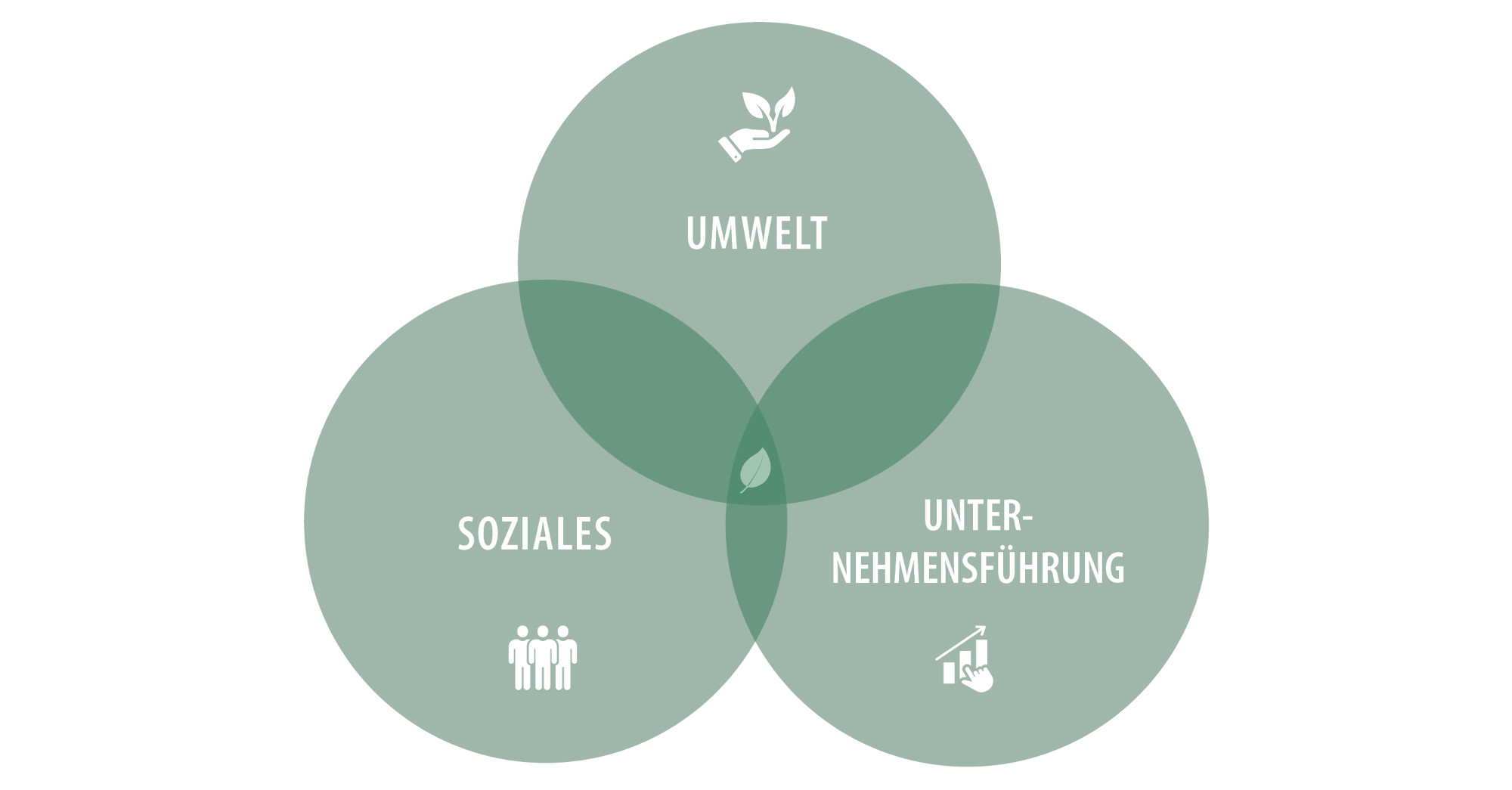 Venn-Diagramm zu den Bereichen Umwelt, Soziales und Unternehmensführung